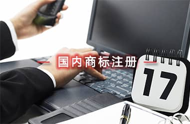 國(guó)內(nèi)商標(biāo)注冊(cè)